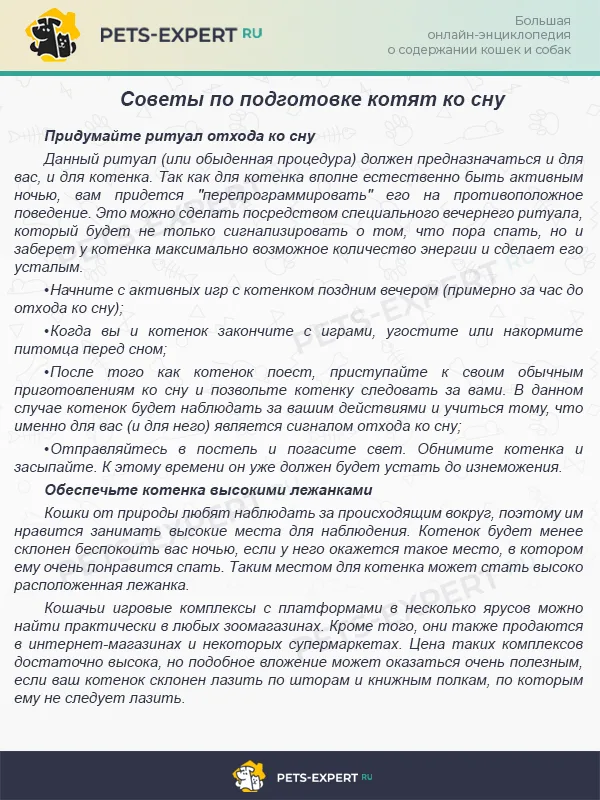 Советы по подготовке котят ко сну
