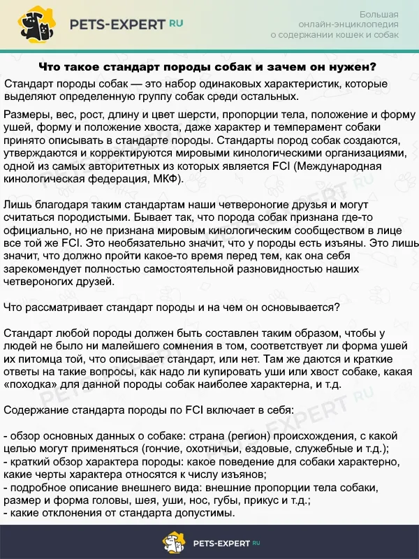 Стандарт породы у собак