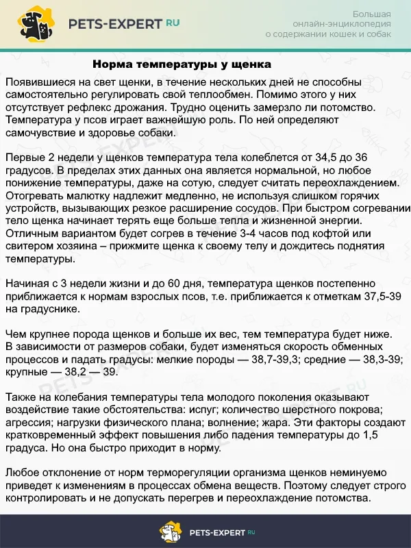 Температура щенков в разном возрасте