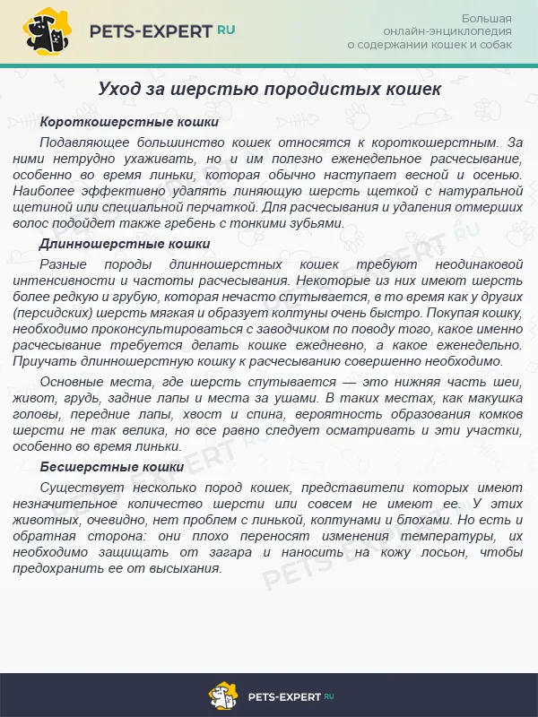 Уход за шерстью породистых кошек