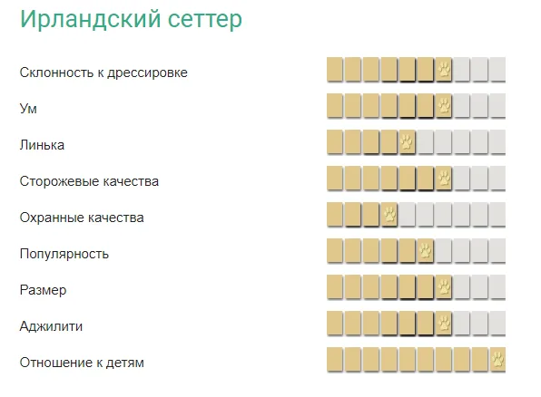 Характеристика ирландского сеттера