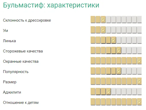 Характеристика породы собак бульмастиф