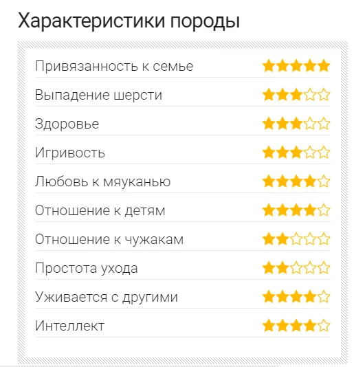 Характеристики породы шотландские вислоухие кошки