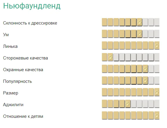 Характерные черты ньюфаундленда
