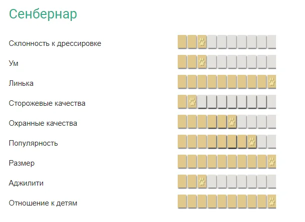 Характер сенбернара