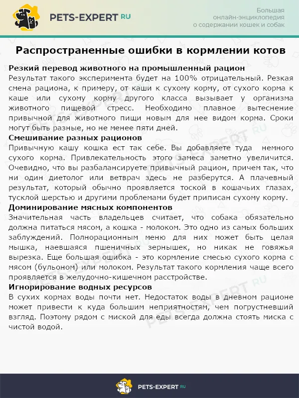 Часто допускаемые ошибки в кормлении котов