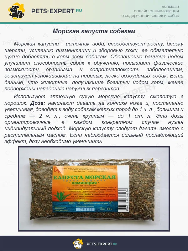 Морская капуста собакам