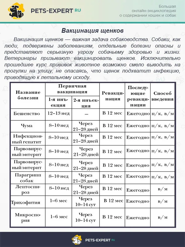 Вакцинация щенков