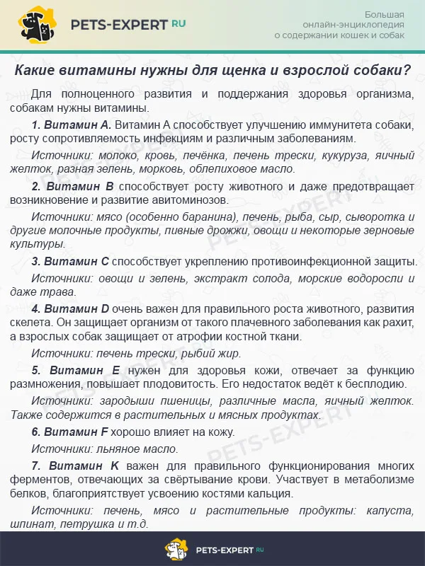 Какие витамины нужны для щенка и взрослой собаки?
