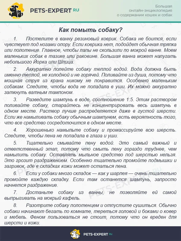 Как помыть собаку?