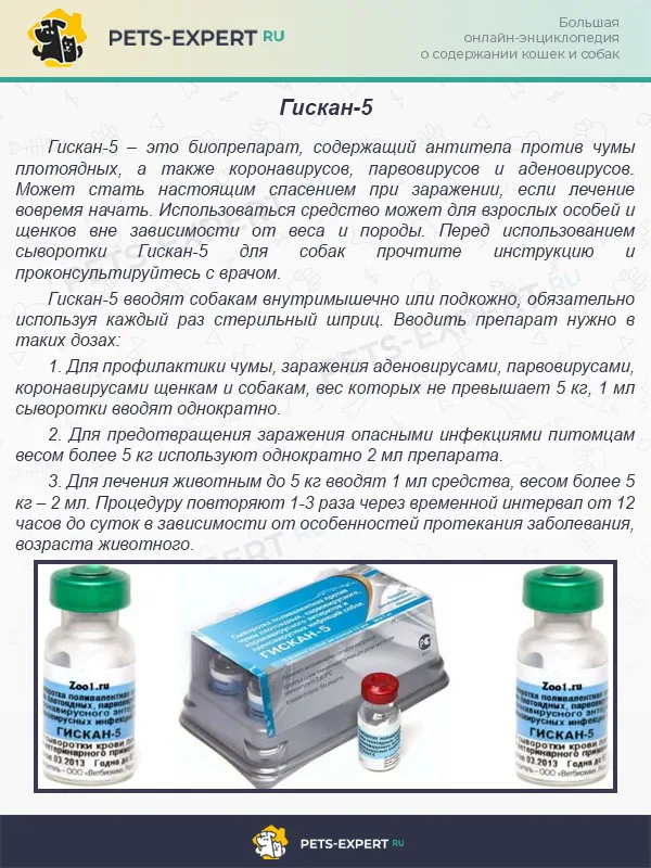 Гискан-5