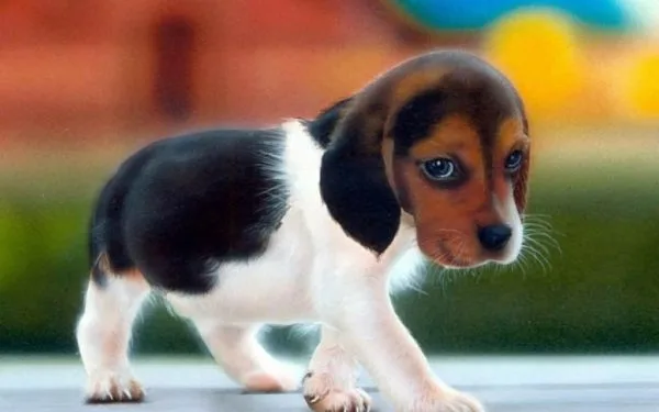 Нервное напряжение может спровоцировать гипогликемию ювенильной формы