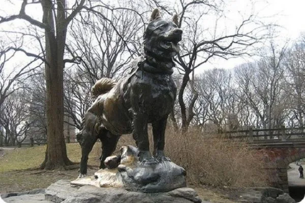 Памятник хаски Балто