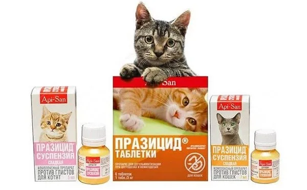 Средства для гельминтов реализуются в каждой ветеринарной аптеке, и свободно продаются всем желающим