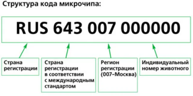 Структура чипа Байер