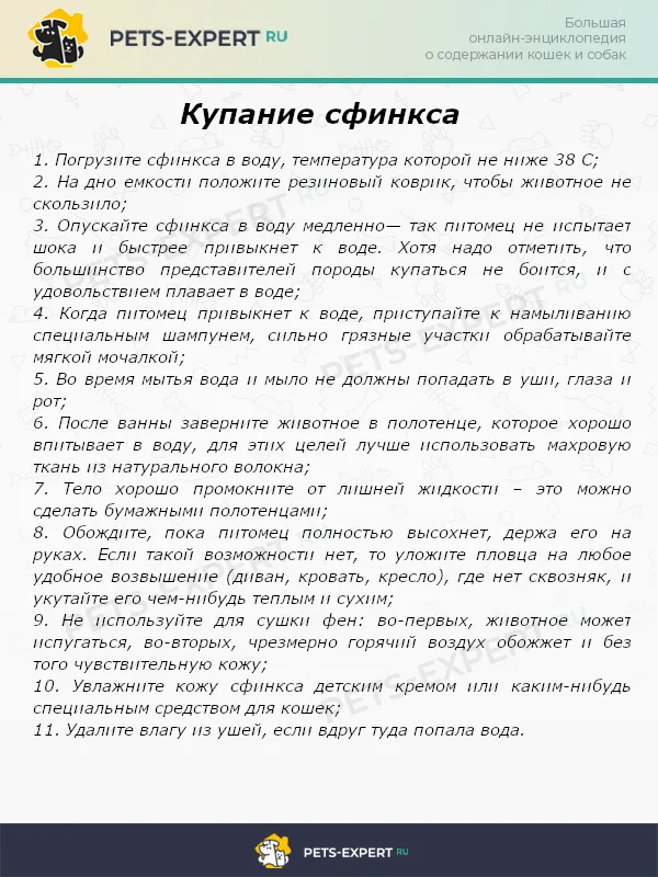 Купание сфинкса