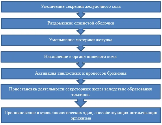 Механизм образования патологии