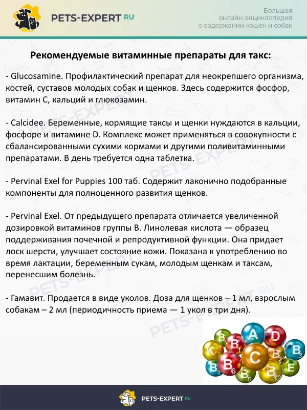 Витамины для такс