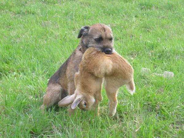 Вязкозть