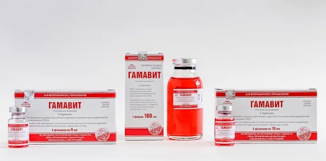 Гамавит ускорит заживление ран