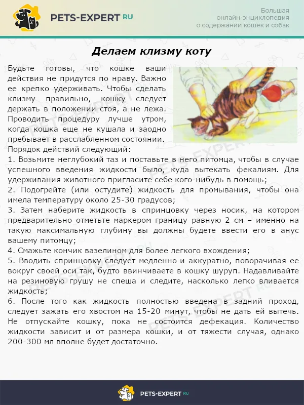 Делаем клизму коту