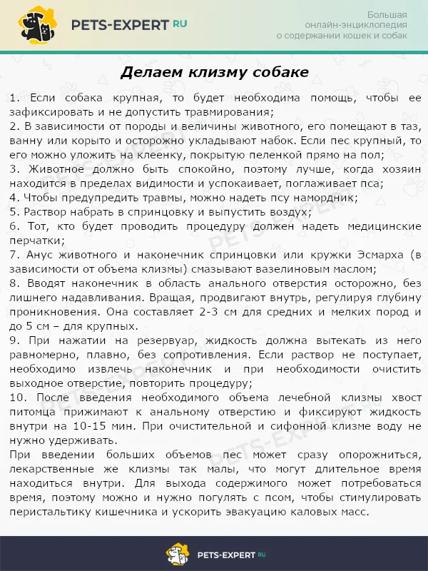 Делаем клизму собаке