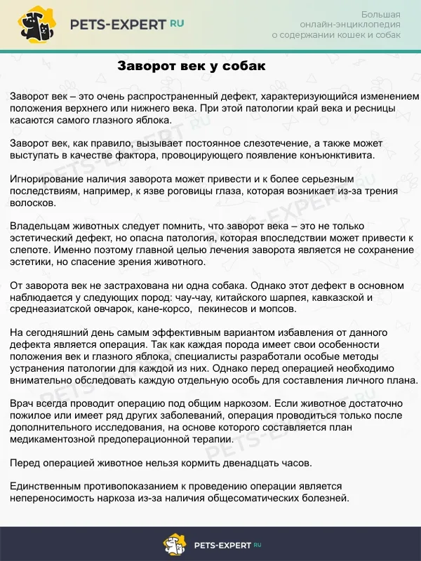 Заворот век у собак