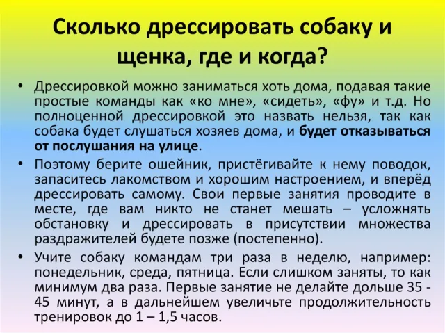 Как, где и сколько дрессировать собаку