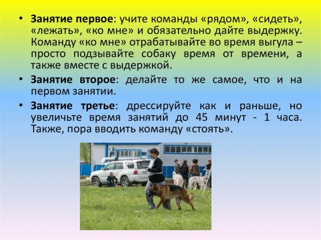 Как проходят занятия ОКД