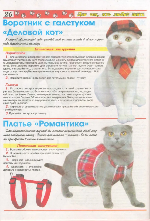 Как сшить платье, воротник и галстук для четвероногого друга