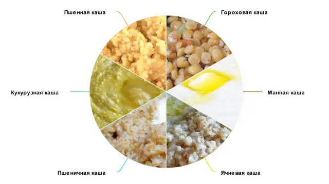Каши, которые кошкам нельзя