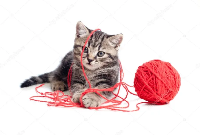 Клубок - кошачий мячик