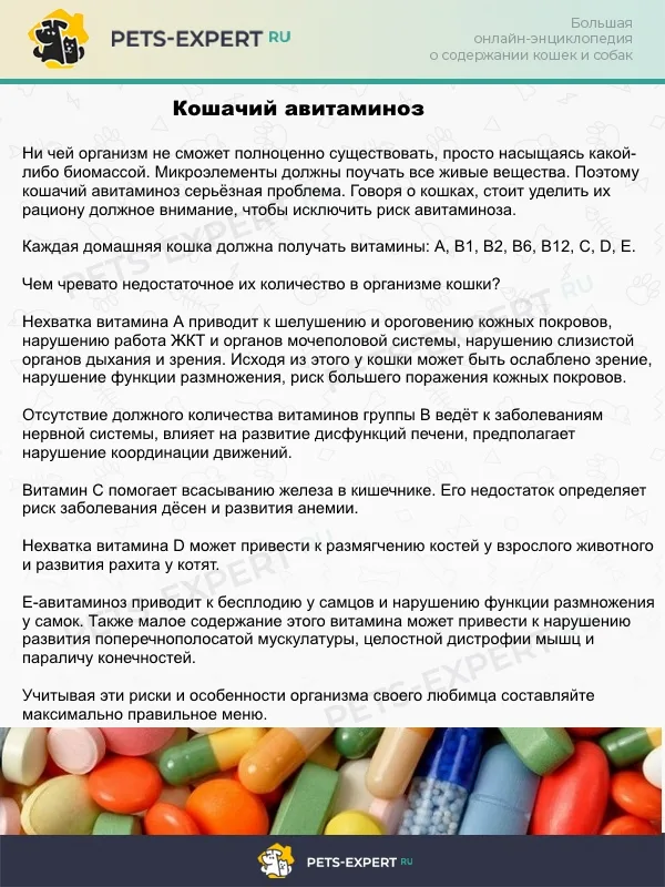 Кошачий авитаминоз