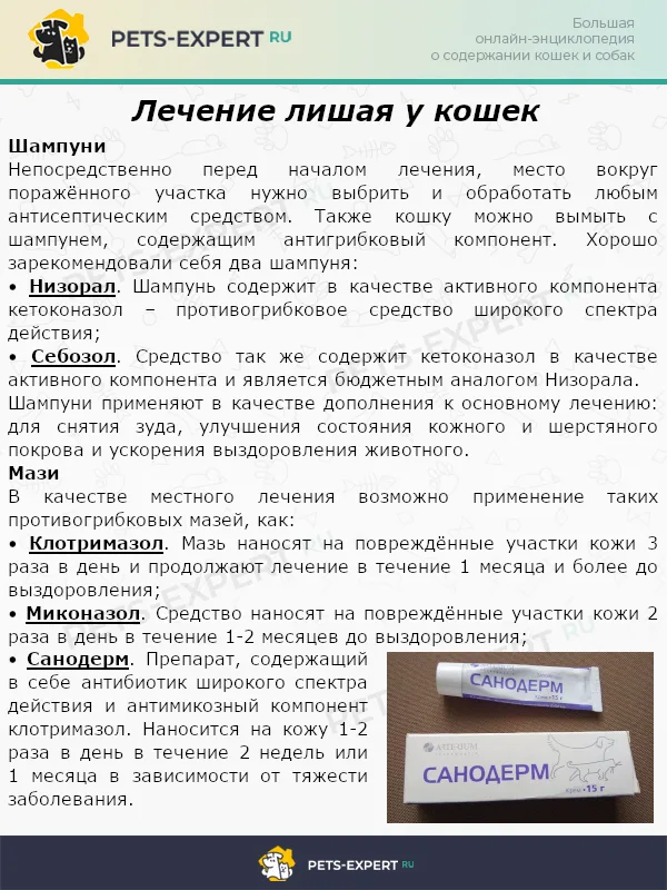 Лечение лишая у кошек