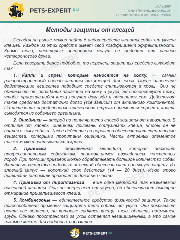 Методы защиты от клещей