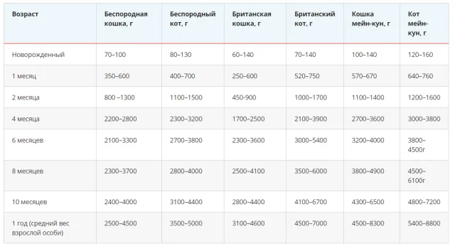 Нормы веса для кошек