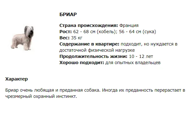 Описание породы бриар