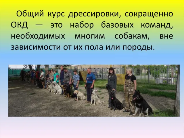 Определение ОКД