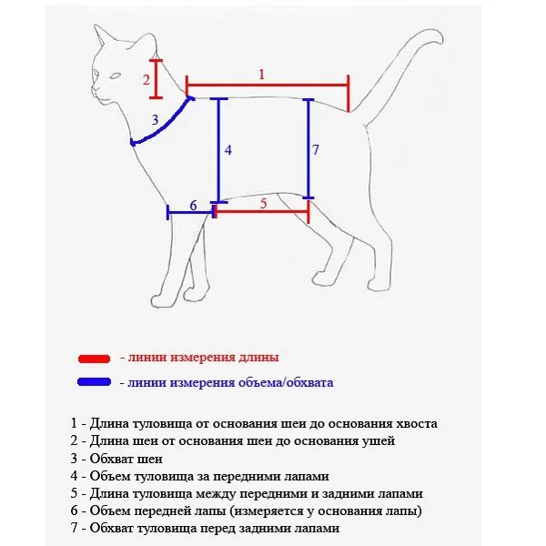 Основные замеры для пошива одежды коту