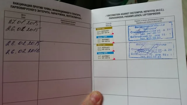 Отметки о вакцинации в ветеринарном паспорте