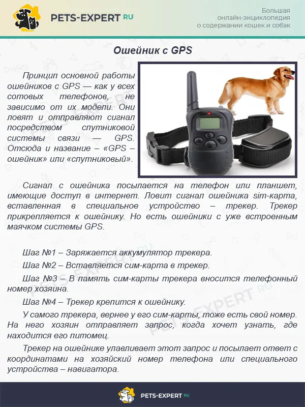 Ошейник с GPS