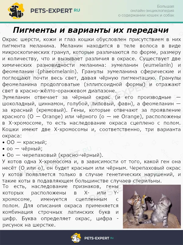 Пигменты и варианты их передачи
