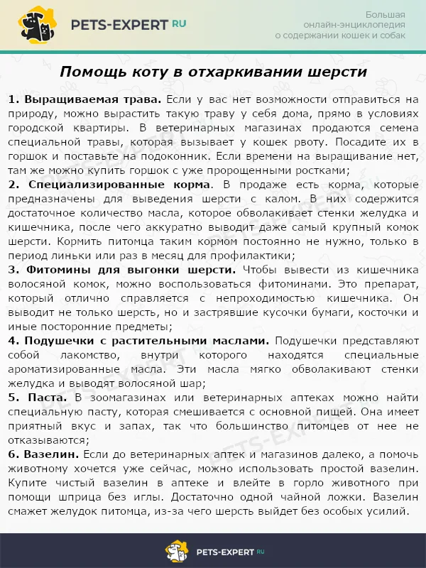 Помощь коту в отхаркивании шерсти