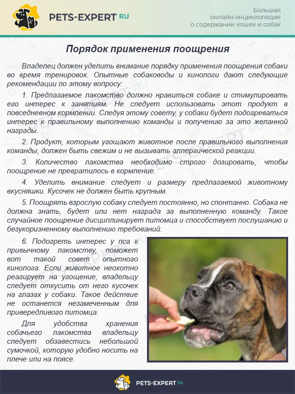 Порядок применения поощрения