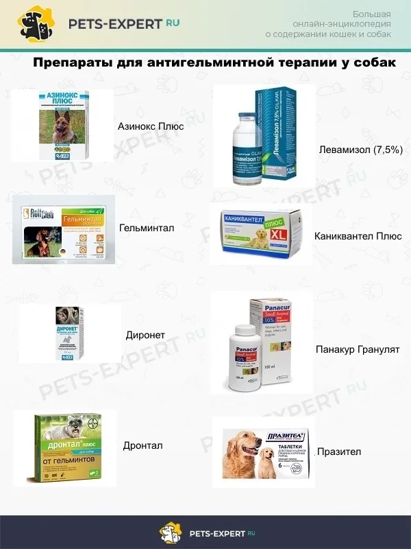Препараты антигельминтной терапии у собак