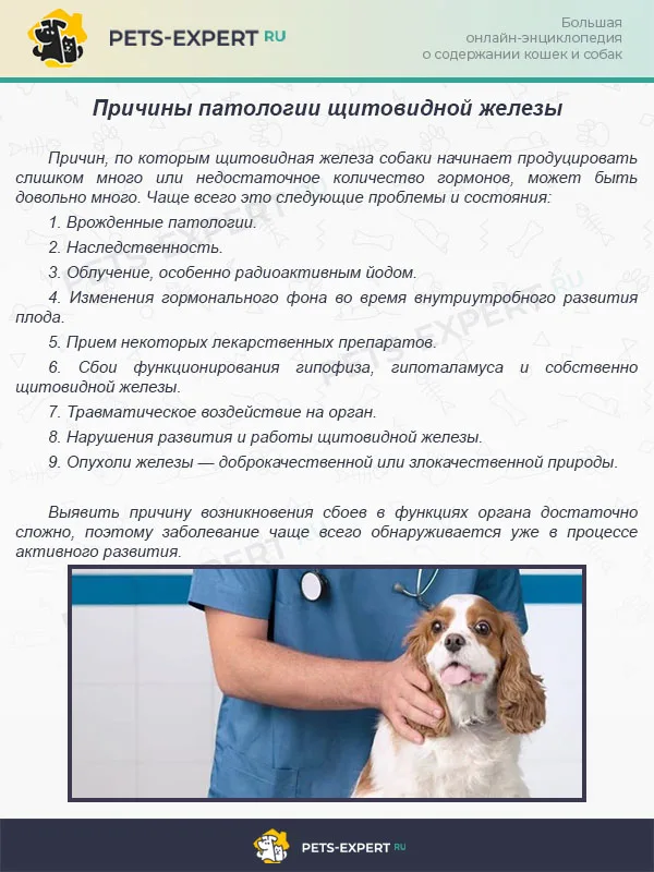 Причины патологии щитовидной железы