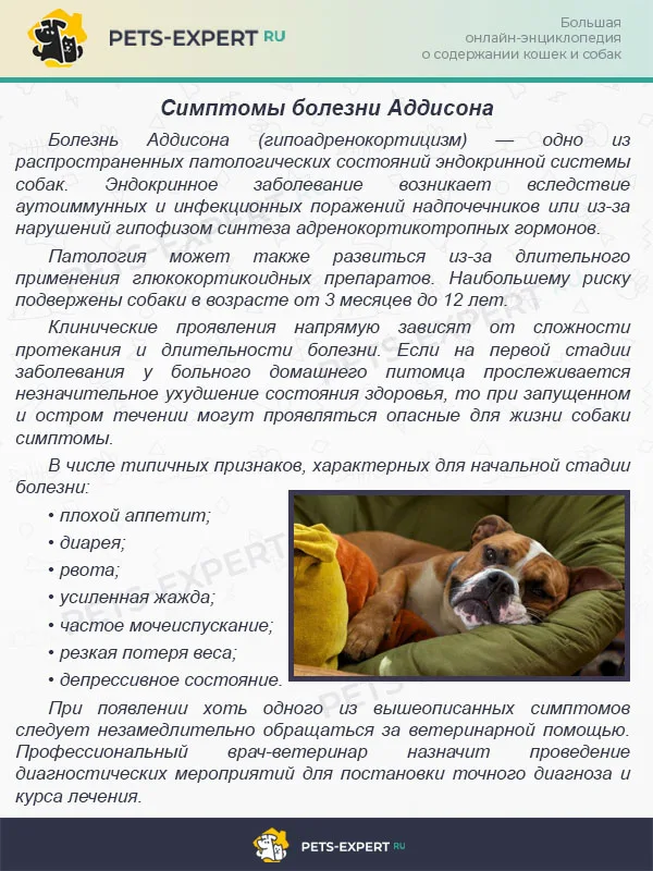 Симптомы болезни Аддисона