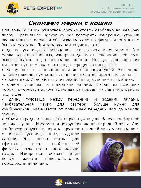 Снимаем мерки с кошки