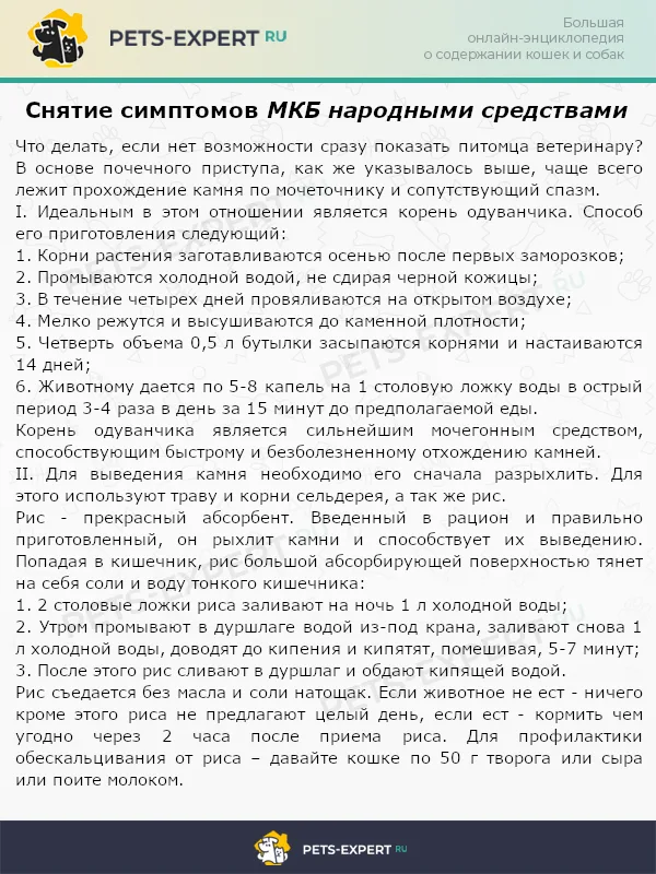 Снятие симптомов МКБ народными средствами