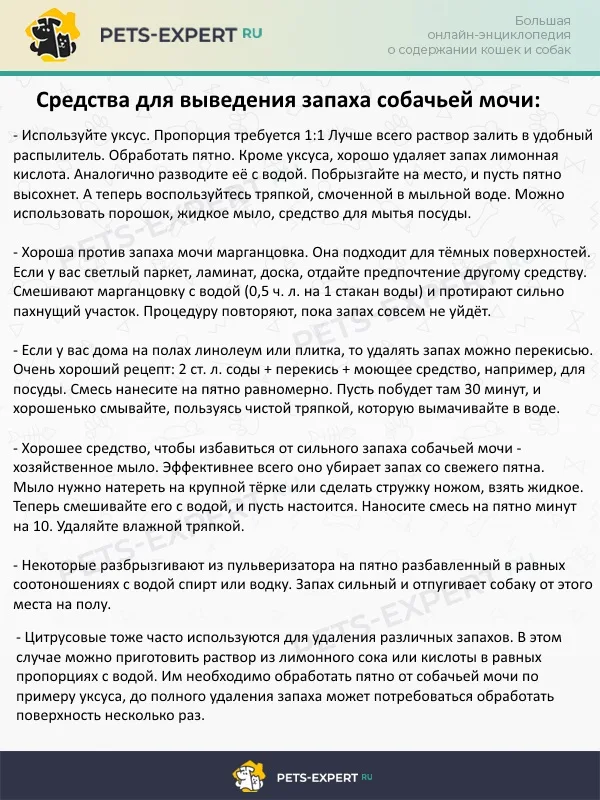 Средства для выведения запаха собачьей мочи